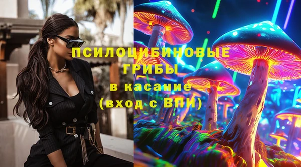 соль ск Пролетарск