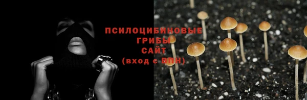 каннабис Абинск