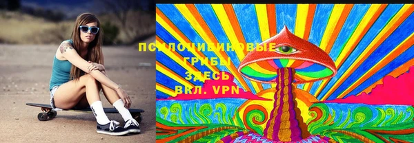 соль ск Пролетарск